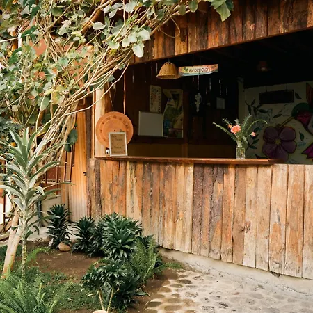 Casa Madera-3